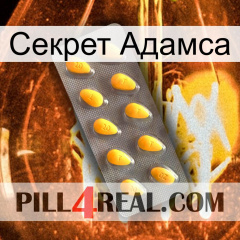 Секрет Адамса cialis1